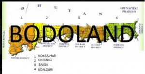 Bodoland map